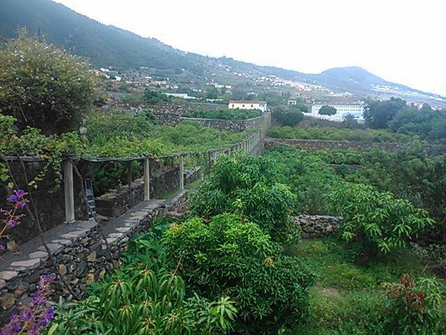 Villa Casita Del Medianero à Santa Cruz de la Palma  Extérieur photo